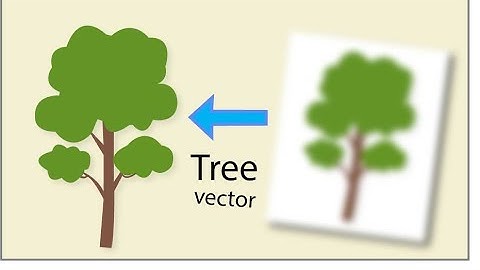 How to make a tree vector on adobe illustrator