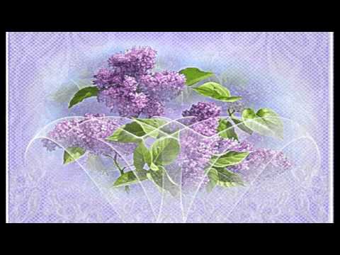 "СИРЕНЬ" РАХМАНИНОВ (ф -но)