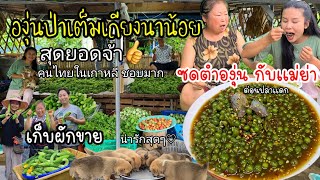 EP.546 Grab wild grapes and Thai vegetables for sale. Eating wild grape spicy salad with mom.