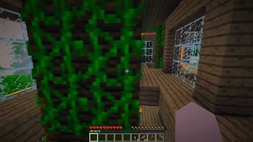 Minecraft - Textures, Shaders, Graphic Test GLSL Shaders Sonic Ether