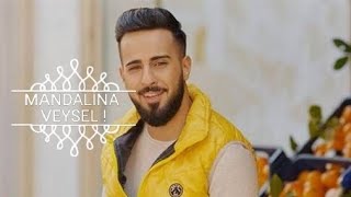 Mandali̇naci Veysel. Vay Delikanlı Gönlüm Vay. Orji̇nal Vi̇deosu