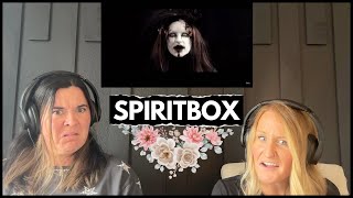 D'N'A Reacts: Spiritbox | Holy Roller