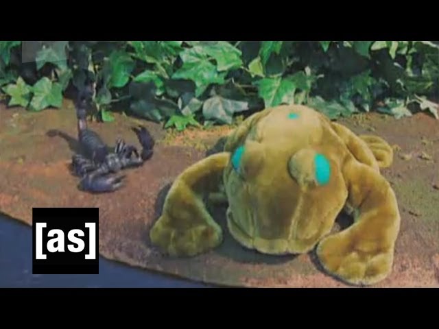 In My Nature | Robot Chicken | Adult Swim - YouTube
