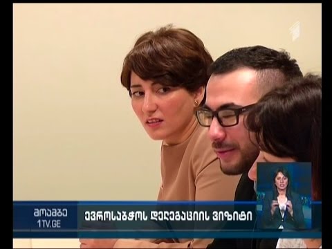 ევროპის საბჭოს საპარლამენტო ასამბლეის მონიტორინგის თანამომხსენებლები საქართველოში ვიზიტს განაგრძობენ