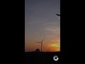 Working Toward a More Sustainable World