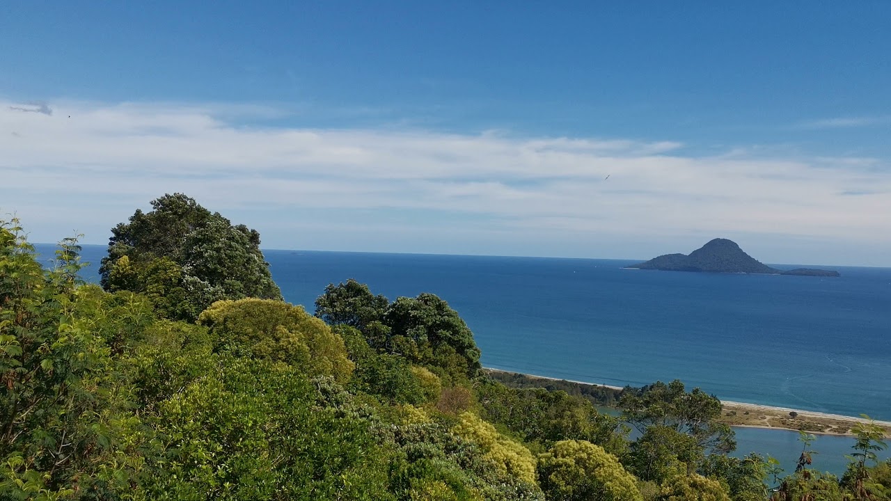 Moutohora Island aka Whale Island) from Kohi Point lookout