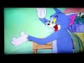 Tom Cat Meets A Dancing Fish 