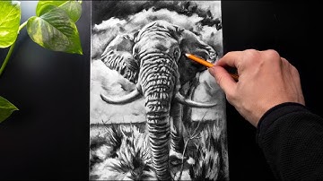 ASMR Drawing an Elephant with Charcoal - No talking