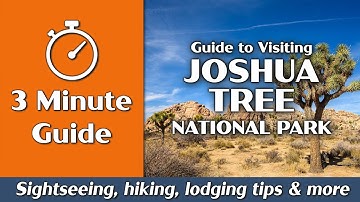 Joshua Tree National Park | Things to Do, Hiking, Camping | 3-Minute Guide