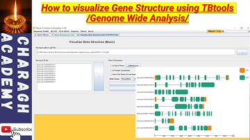 How to visualize Gene Structure using TBtools /Genome Wide Analysis/