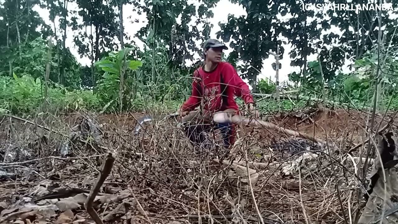 CEO MASANG TIANG KAYU DARI BARAT GUYSSS?? CEO ASLI CHINDO???#syahrllananda #syahrll #ananda 