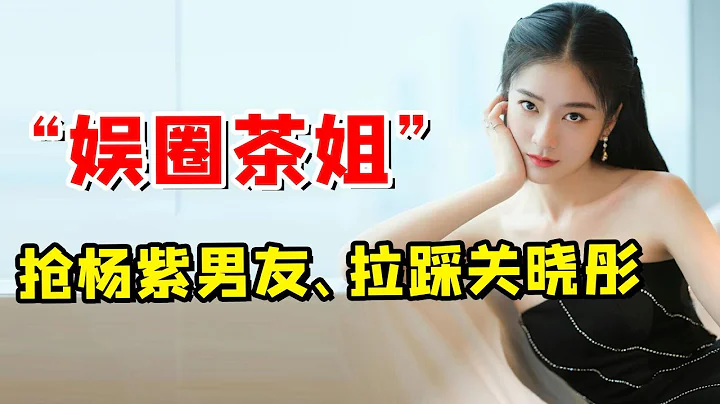 「娛圈茶姐」張雪迎：示愛鹿晗、阻擾秦俊傑求婚，搶閨蜜男友她最行 - 天天要聞