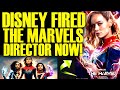 DISNEY JUST DESTROYED THE MARVELS DIRECTOR AFTER BOX OFFICE COLLAPSE! Proof Bob Iger Is Desperate