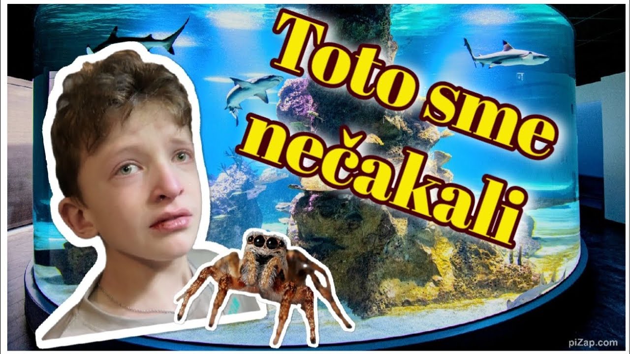 Mikrozelenina, pavúky a maliny vo pho 😅 | Rodinný vlog