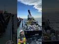 Safe Offshore Ship Crane Operations Are Matter Of Highly Skilled Operator Safetyfirst Cranework Safe Offshore Ship Crane Operations Are Matter Of Highly Skilled Operator Safetyfirst Cranework
