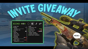 SAFEST CS2 EXTERNAL ft. ECHO