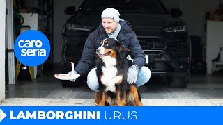 Lamborghini Urus: Who let the birthday dogs out? (4K REVIEW) | CaroSeria