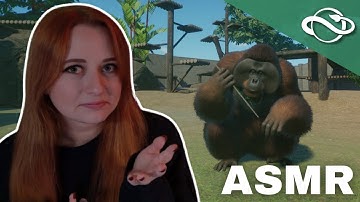 ASMR Planet Zoo 🌿🦧| Apes Can