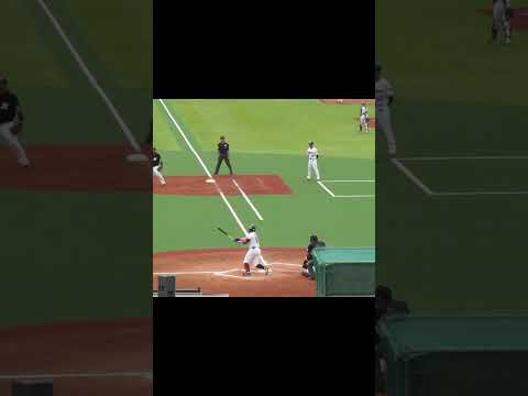 ヤクルト三ツ俣大樹バッティングフォーム＜2軍・ヤクルトスワローズ対 千葉ロッテマリーンズ  2024年5月12日＞