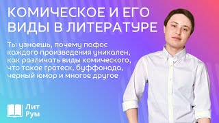 Комическое в литературе и его виды