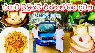 අපේ චූටි බට්ටා එක්ක රවුමක් යමුත.. ? | Brand New dimo batta | My diary | Day vlog