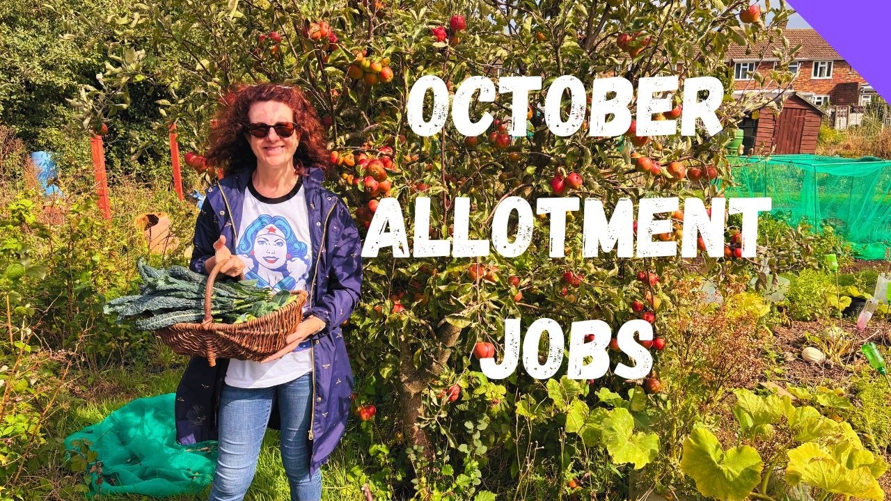 October Allotment Jobs - Allotment Gardening For Beginners UK - YouTube