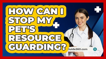 How Can I Stop My Pet