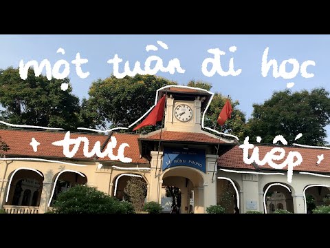 Video MỘT TUẦN ĐI HỌC CỦA MỘT HỌC SINH CẤP 3 // eggchowder - YouTube