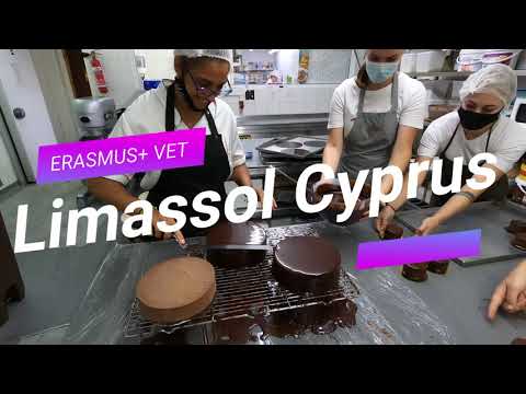Erasmus+ Vocational Placement