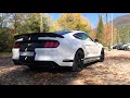 Ford Mustang 2.3 EcoBoost - Cinematic Video  [Acceleration, exhaust sound, drift]