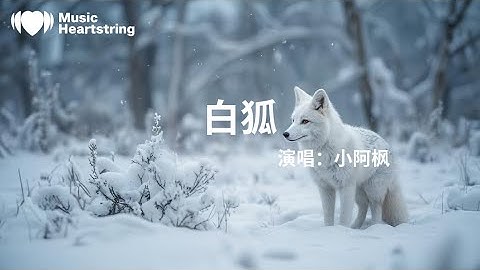 小阿楓《白狐》『我是一只守候千年的狐千年守候千年無助情到深處看我用美麗為你起舞愛到痛時聽我用歌聲為你傾訴我愛你時你正一貧如洗寒窗苦讀離開你時你正金榜題名洞房花燭能不能為你再跳一支舞』【動態歌詞MV】