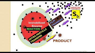Biochemical Engineering - Lecture # 3-5