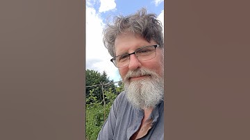 Free Trellis is Easy! (And FREE!)