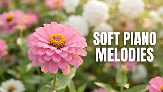 Spring, Flowers and Soft Piano screenshot 5