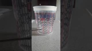 How to use your mixing cup