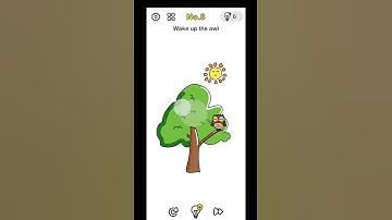 Wake up the owl in brain out || level 8 in brain out