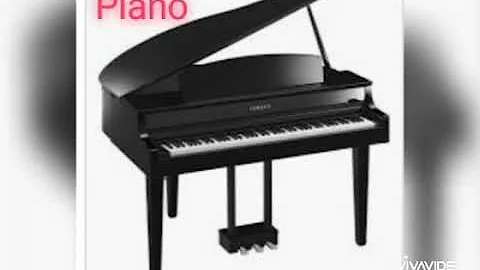 Quais são os tipos de instrumentos musicais?