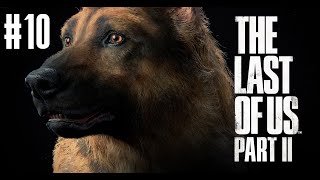 The Last of Us Parte 2 | Nueva partida+ AVISO SPOILERS #10