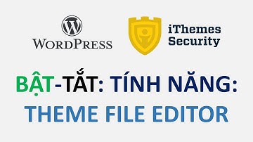 Bật tắt tính năng chỉnh sửa file theme khi sử dụng plugin iThemes Security