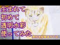 美術未経験者の透明水彩初挑戦！ライオンを描くさまを4分以内にぎゅっとしたから見て！【水彩画】 #動物イラスト