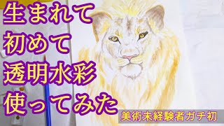 美術未経験者の透明水彩初挑戦！ライオンを描くさまを4分以内にぎゅっとしたから見て！【水彩画】 #動物イラスト