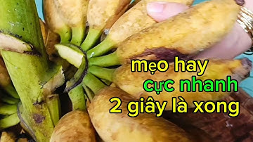 Mẹo CẮT NẢI CHUỐI RA Cực Nhanh, Cách Cắt nải chuối ra khỏi buồng Nhanh