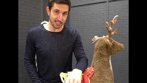 Internal Tailbone Adjustment - You May Need a Professional Adjustment MoveU