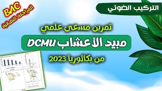 انطلاق المراجعة النهائية🔥🔒مبيد الاعشاب DCMU 👌اروع تمرين | مسعى علمي من بكالوريا 2023