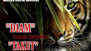 STORY WA MACAN LORENG (DIAM BUKAN BERARTI TAKUT)