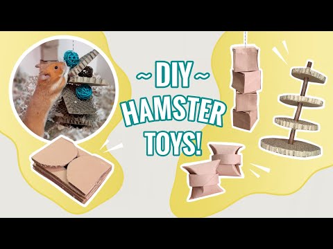 Video: 5 maniere om 'n speelgoedhamster van items tuis te maak