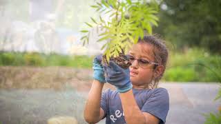 Your Impact of Giving: The Climate Garden