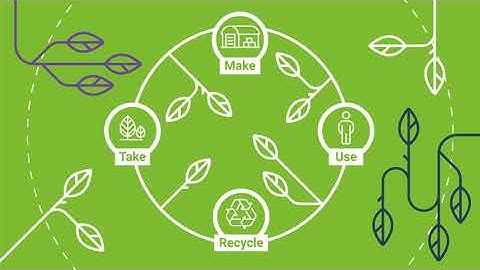What is the Bioeconomy? Animation from THYME introducing key concepts, careers and sustainability