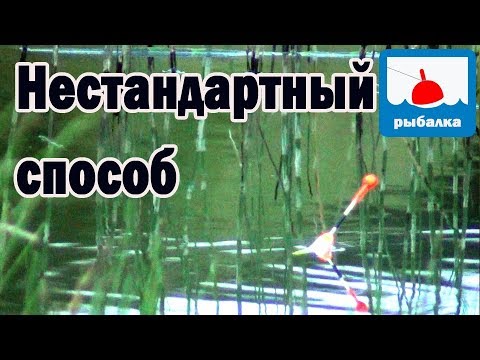 Как можно поймать карася летом,  особый вариант