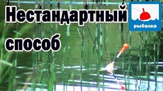 Как можно поймать карася летом, особый вариант Как можно поймать карася летом, особый вариант